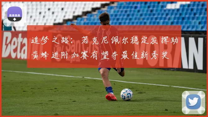 追梦之路：若克尼佩尔稳定发挥助黄蜂进附加赛有望夺最佳新秀奖